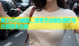 糖心vlog被抓，探索平台隐私保护与内容安全功能