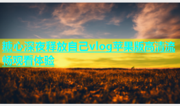 糖心深夜释放自己vlog苹果版高清流畅观看体验