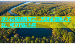 糖心破解版百度云：无限资源随心下载，畅享精彩内容