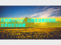 还有糖心vlog：记录生活美好瞬间，分享快乐与温暖