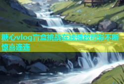 糖心vlog盲盒挑战在线播放精彩不断惊喜连连