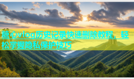糖心vlog历史记录快速删除教程，轻松掌握隐私保护技巧
