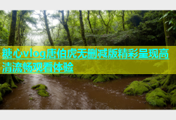 糖心vlog唐伯虎无删减版精彩呈现高清流畅观看体验