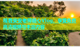 观看安安老师糖心Vlog，享受免费高清视频与丰富内容