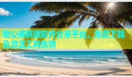 糖心破解版软件分享平台，免费下载及激活工具集锦