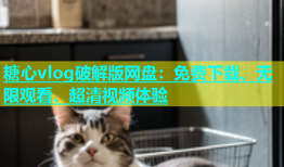 糖心vlog破解版网盘：免费下载、无限观看、超清视频体验