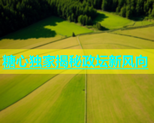 糖心独家揭秘政坛新风向