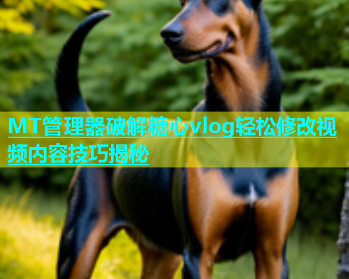 MT管理器破解糖心vlog轻松修改视频内容技巧揭秘
